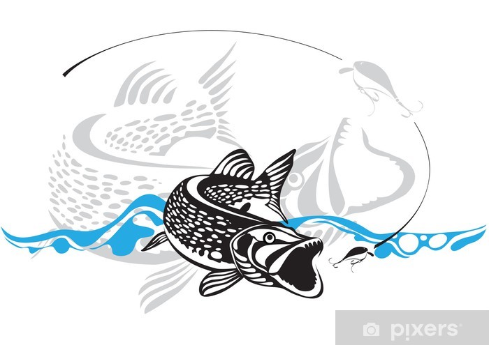 700x495 Pike, Fishing Lure, Vector Illustration Wall Mural