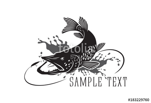 500x340 Pike Fish Stock Image And Royalty Free Vector On Fotolia