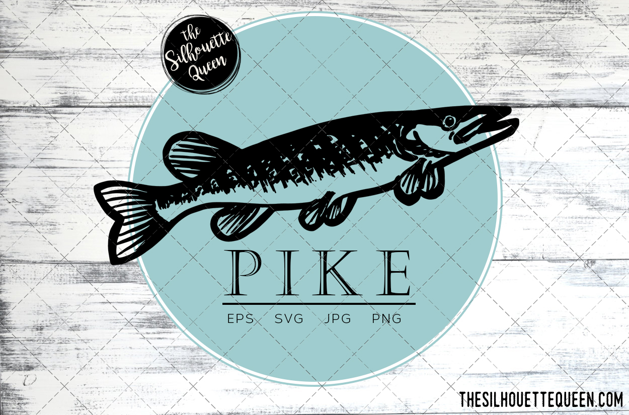 1250x825 Hand Drawn, Sketched Pike Fish Vector Graphic