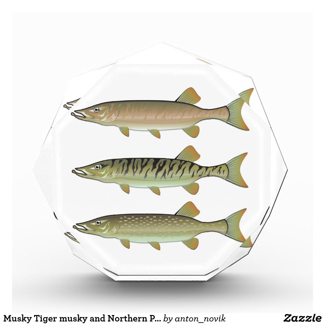1106x1106 Musky Tiger Musky And Northern Pike Vector Acrylic Award Zazzle