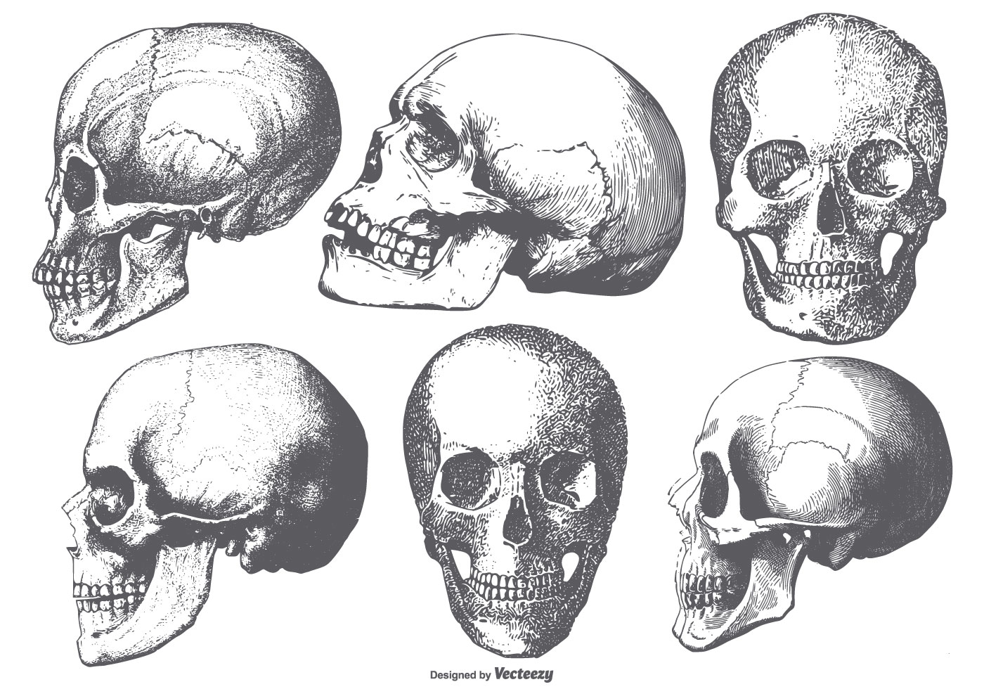 Skull Free Brushes 1400x980 Skull Free Brushes
