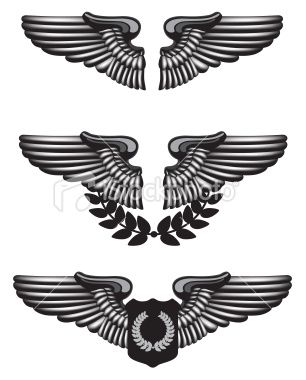 306x380 Set Of Three Pilot Badges, Done In A Blackampwhite Technique