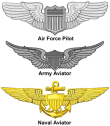 220x252 United States Aviator Badge