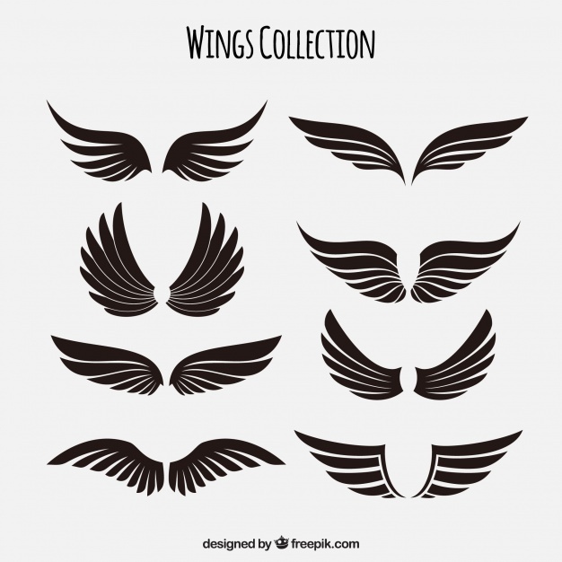 626x626 Wings Vectors, Photos And Free Download