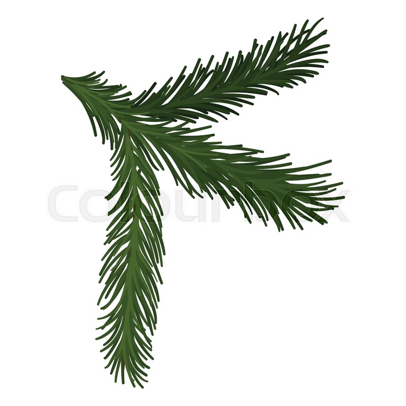 Pine Branch Vector