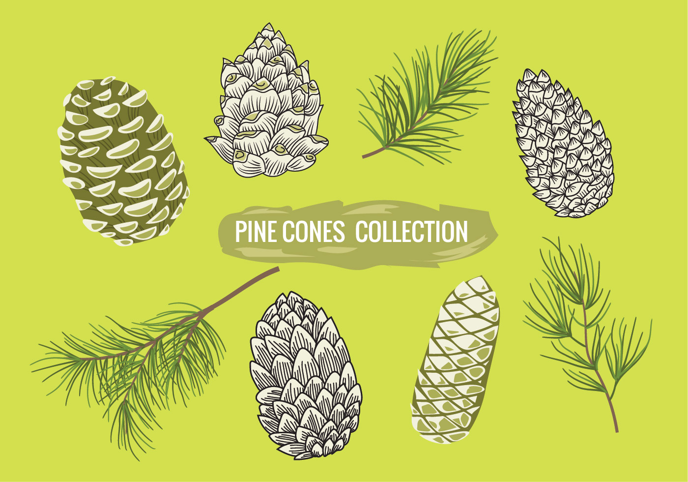 Pine Branch Free Vector Art 1400x980 Pine Branch Free Vector Art