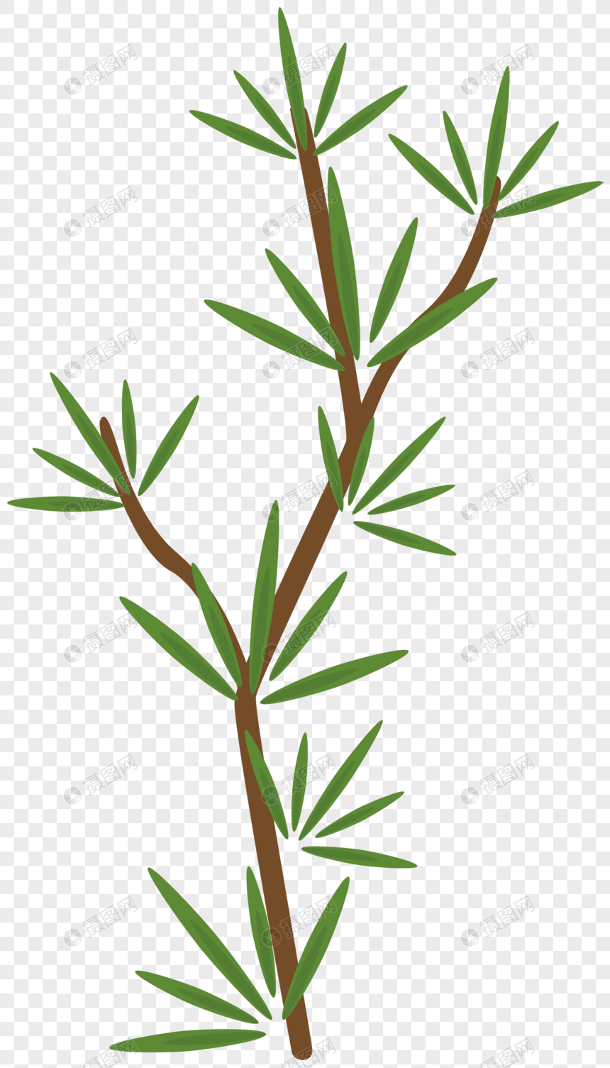 Pine Branch Vector Material Png Image Picture Free Download 860x1505 Pine Branch Vector Material Png Image Picture Free Download