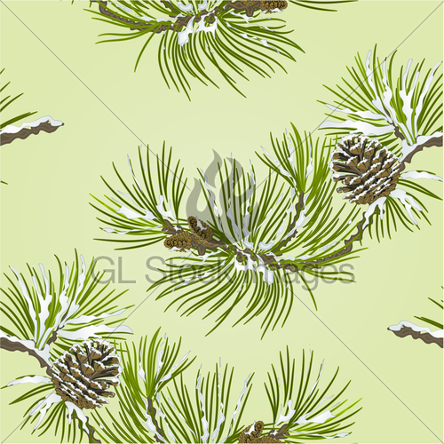 Seamless Texture Pine Branch With Pine Cone Vector Gl Stock Images 500x500 Seamless Texture Pine Branch With Pine Cone Vector Gl Stock Images