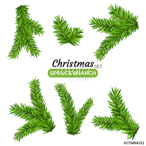Set Of Fir Branches Christmas Tree Or Pine Branch Vector 500x500 Set Of Fir Branches Christmas Tree Or Pine Branch Vector