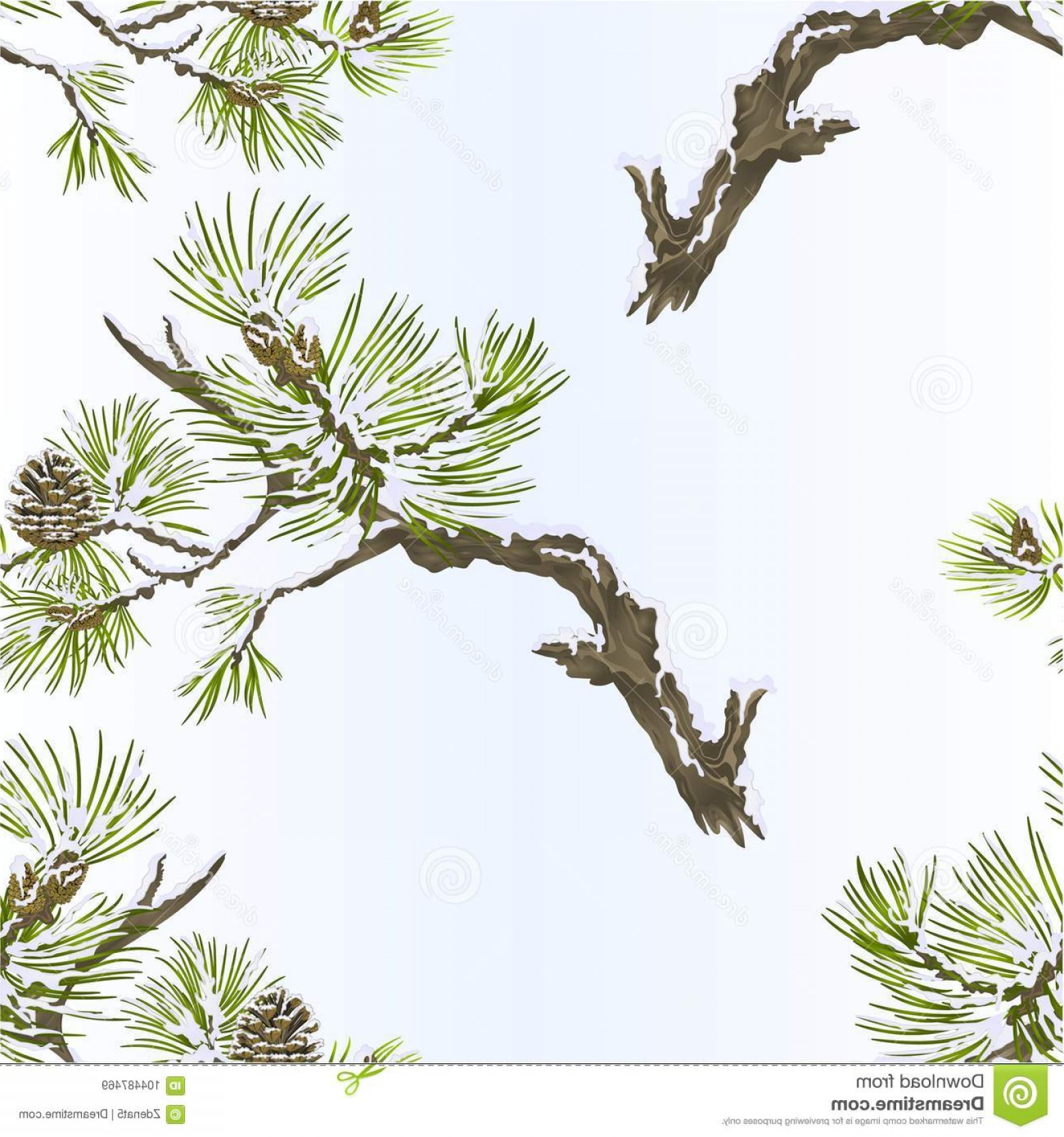 Pine Branch Vector at Vectorified.com | Collection of Pine Branch ...