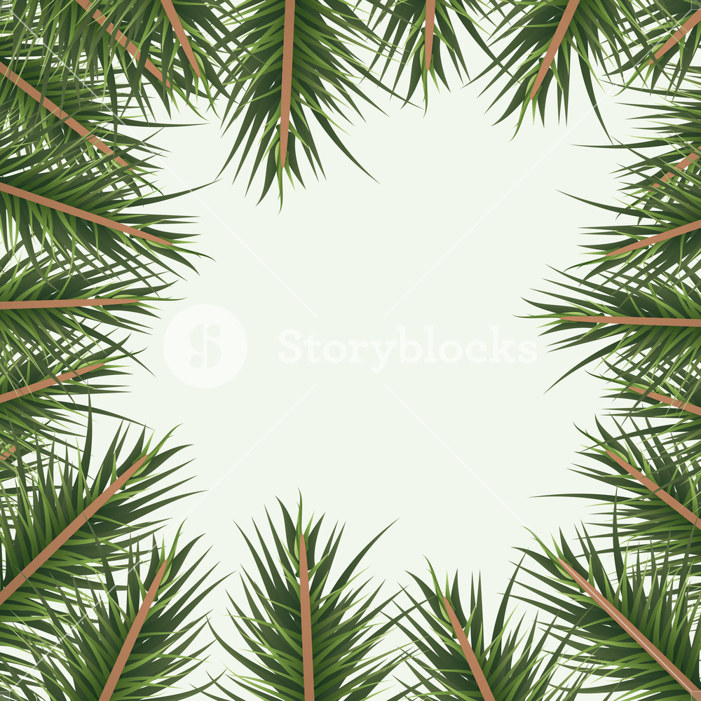 Christmas Ornament Background With Colorful Pine Branches Vector 1000x1000 Christmas Ornament Background With Colorful Pine Branches Vector