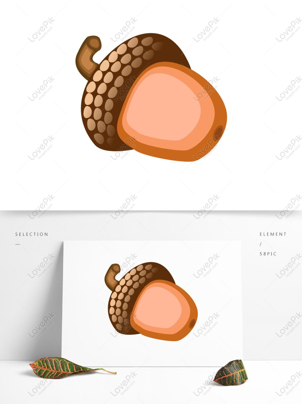 1024x1369 Free Images Download Autumn Harvest Autumn Crop Pine Cone