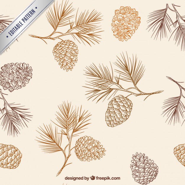 Hand Drawn Pine Cones Pattern Vector Free Download 626x626 Hand Drawn Pine Cones Pattern Vector Free Download