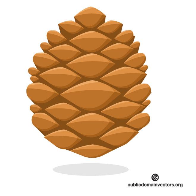 Pine Cone Vector Image 660x660 Pine Cone Vector Image