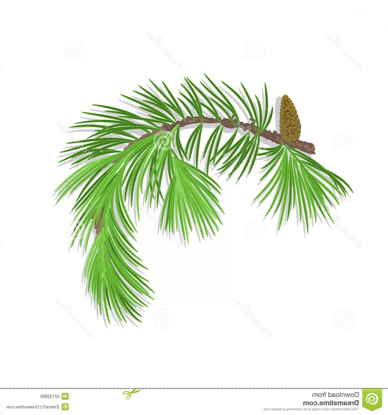 Stock Illustration Branch Christmas Tree Pine Cone Vector 1560x1668 Stock Illustration Branch Christmas Tree Pine Cone Vector