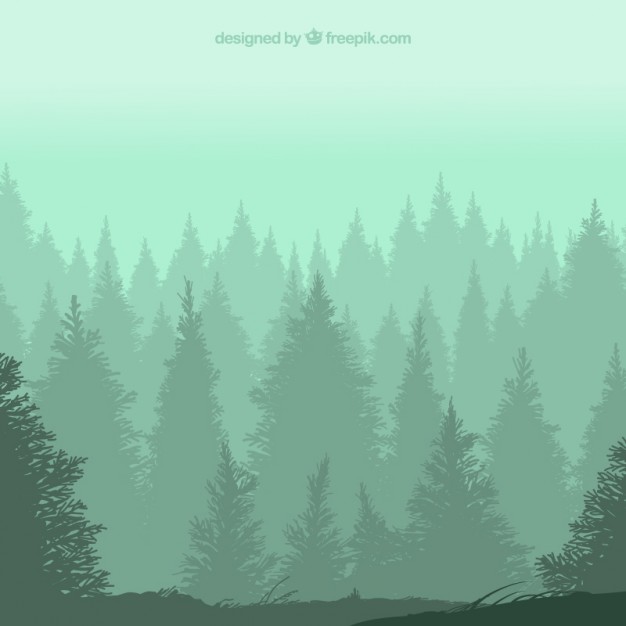 626x626 Pine Vectors, Photos And Free Download