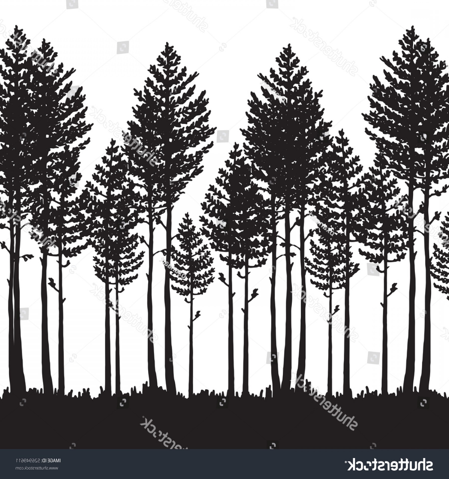 1800x1920 Vector Pine Tree Forest Hoodamath