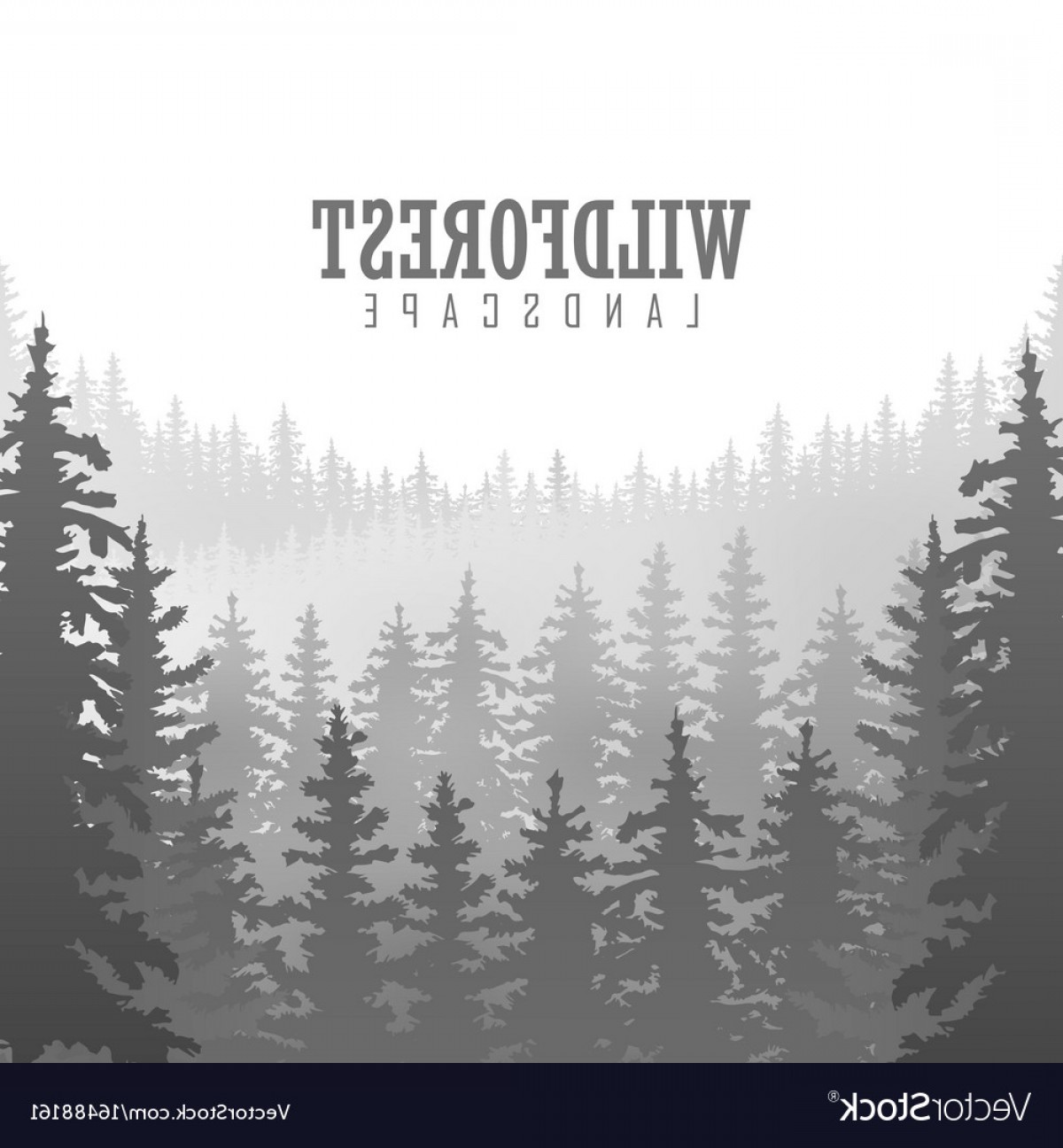 1200x1296 Wild Coniferous Forest Background Pine Tree Vector Geekchicpro