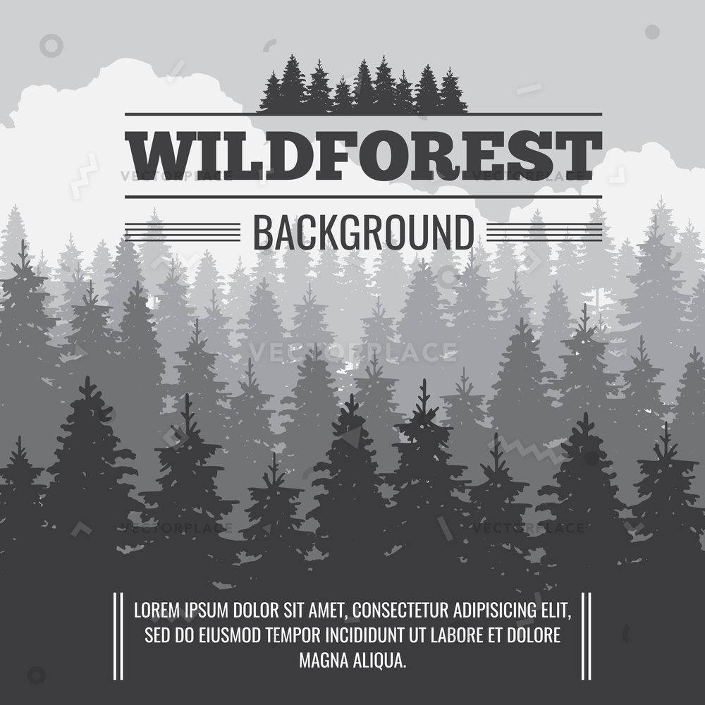 1000x1000 Wild Coniferous Pine Forest Outdoor Nature Vector Illustration