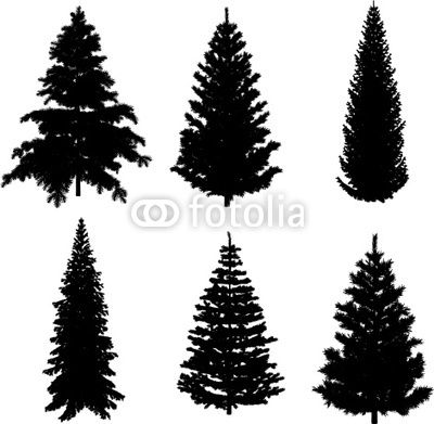 400x391 Pine Tree Vector