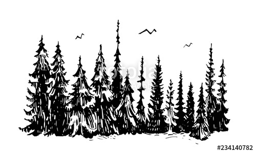500x299 Hand Drawn Sketch Of Pine Forest Vector Background Stock Image