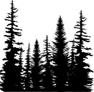 300x293 Image Result For Vector Pine Forest Tattoo Trees Pine Tree