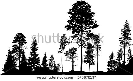 450x274 Pine Tree Forest Silhouette Vector