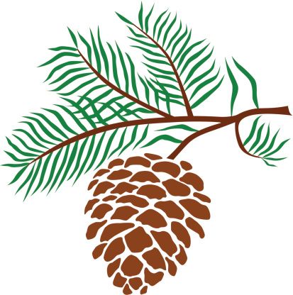 Pine Cone Clip Art, Vector Images Illustrations 413x416 Pine Cone Clip Art, Vector Images Illustrations