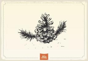 Pine Needle Free Vector Art 286x200 Pine Needle Free Vector Art