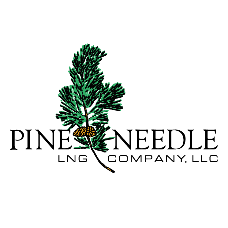 Pine Needle 745x745 Pine Needle
