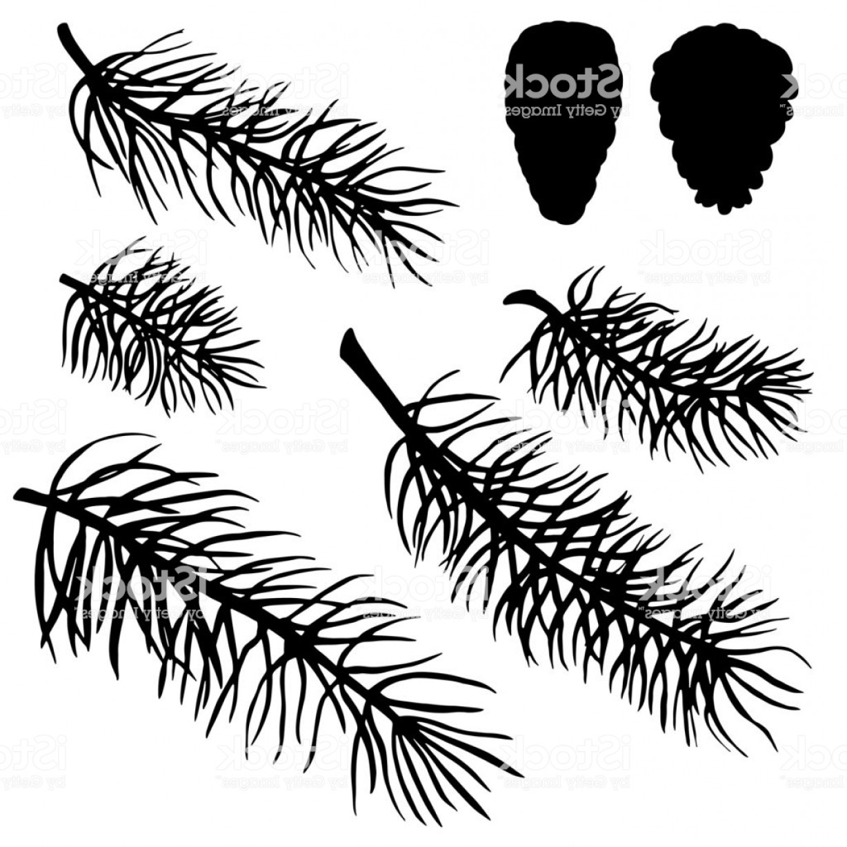Black White Pine Tree Branch Vector Soidergi 1228x1228 Black White Pine Tree Branch Vector Soidergi