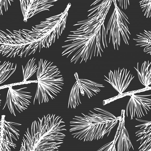Pine Needles Vector Hand Drawn Seamless Pattern Vector Premium 626x626 Pine Needles Vector Hand Drawn Seamless Pattern Vector Premium