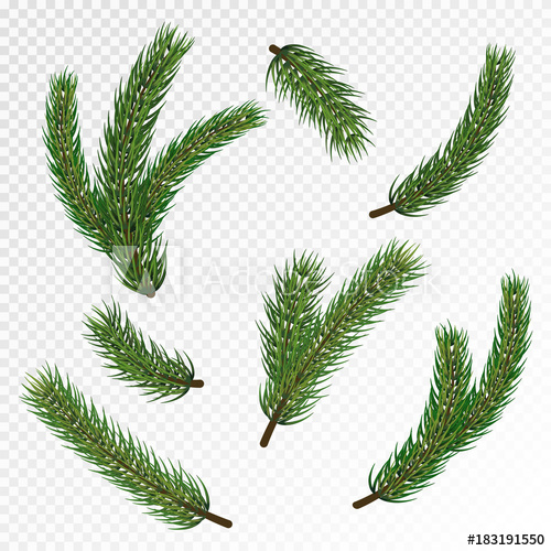 500x500 Pine Christmas Tree Branches For Winter Holiday Decoration Big