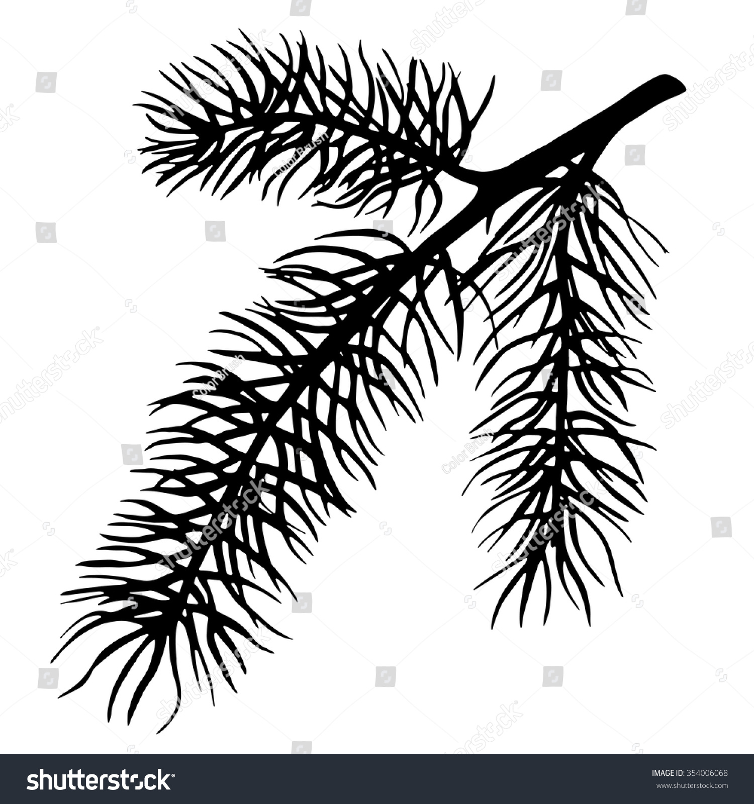 1500x1600 Pine Tree Branch Silhouette