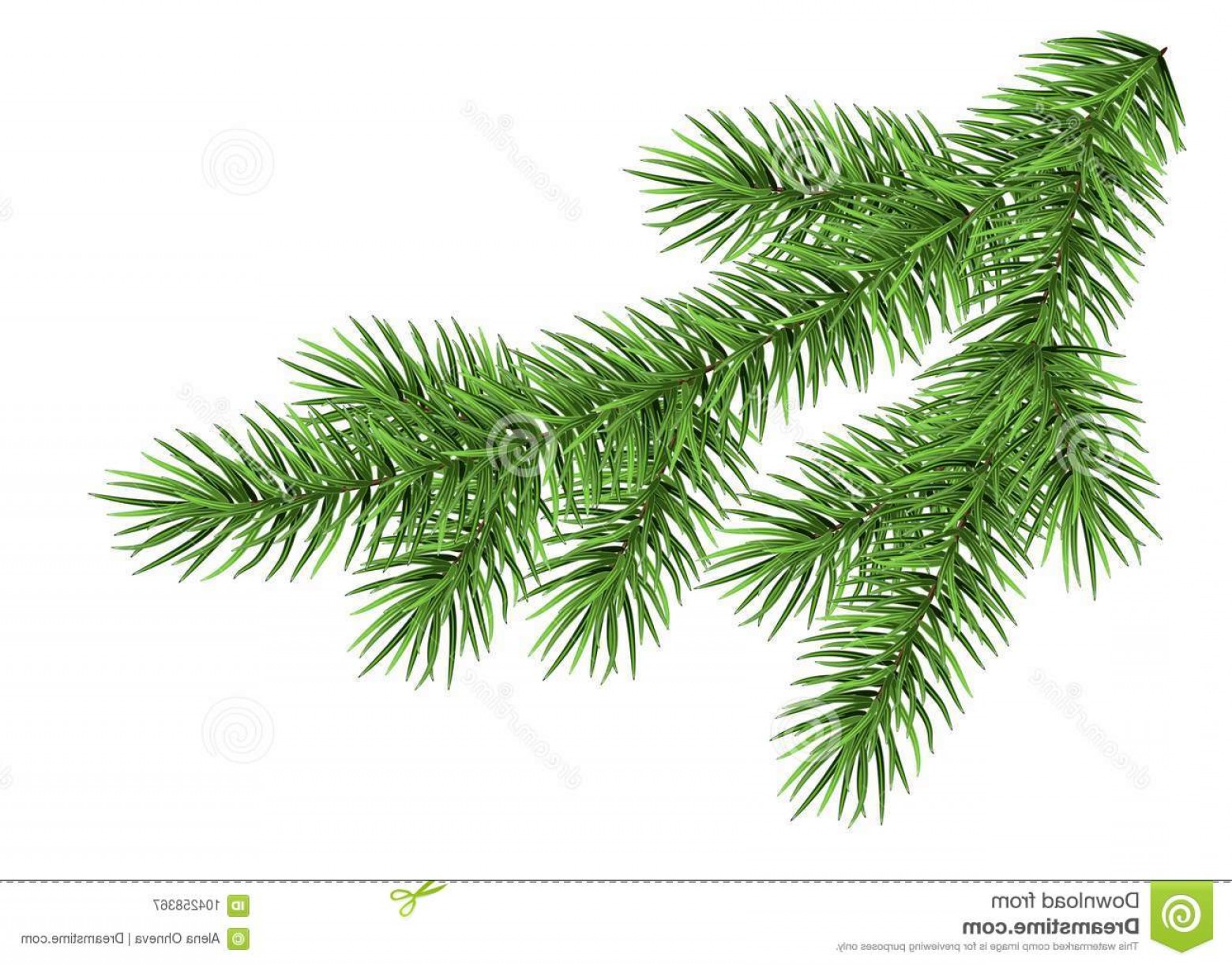 1560x1222 Branch Christmas Tree Vector Catchsplace