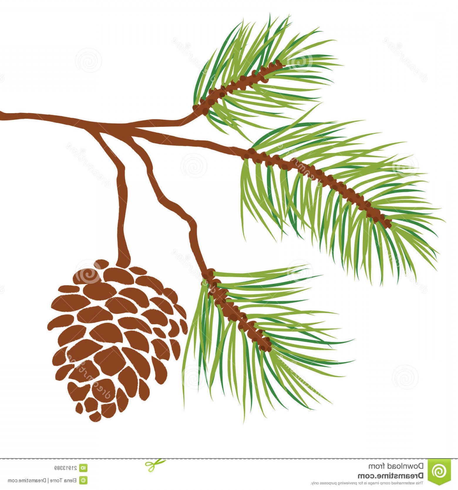 Pine Tree Branch Vector at Vectorified.com | Collection of Pine Tree ...