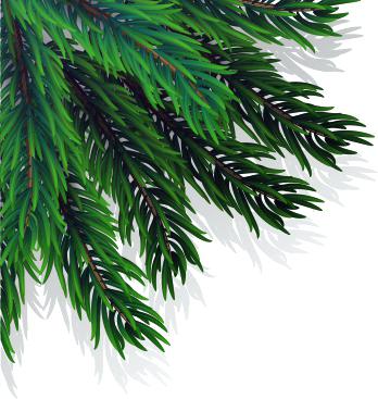 348x367 Pine Tree Branch Friendlyga
