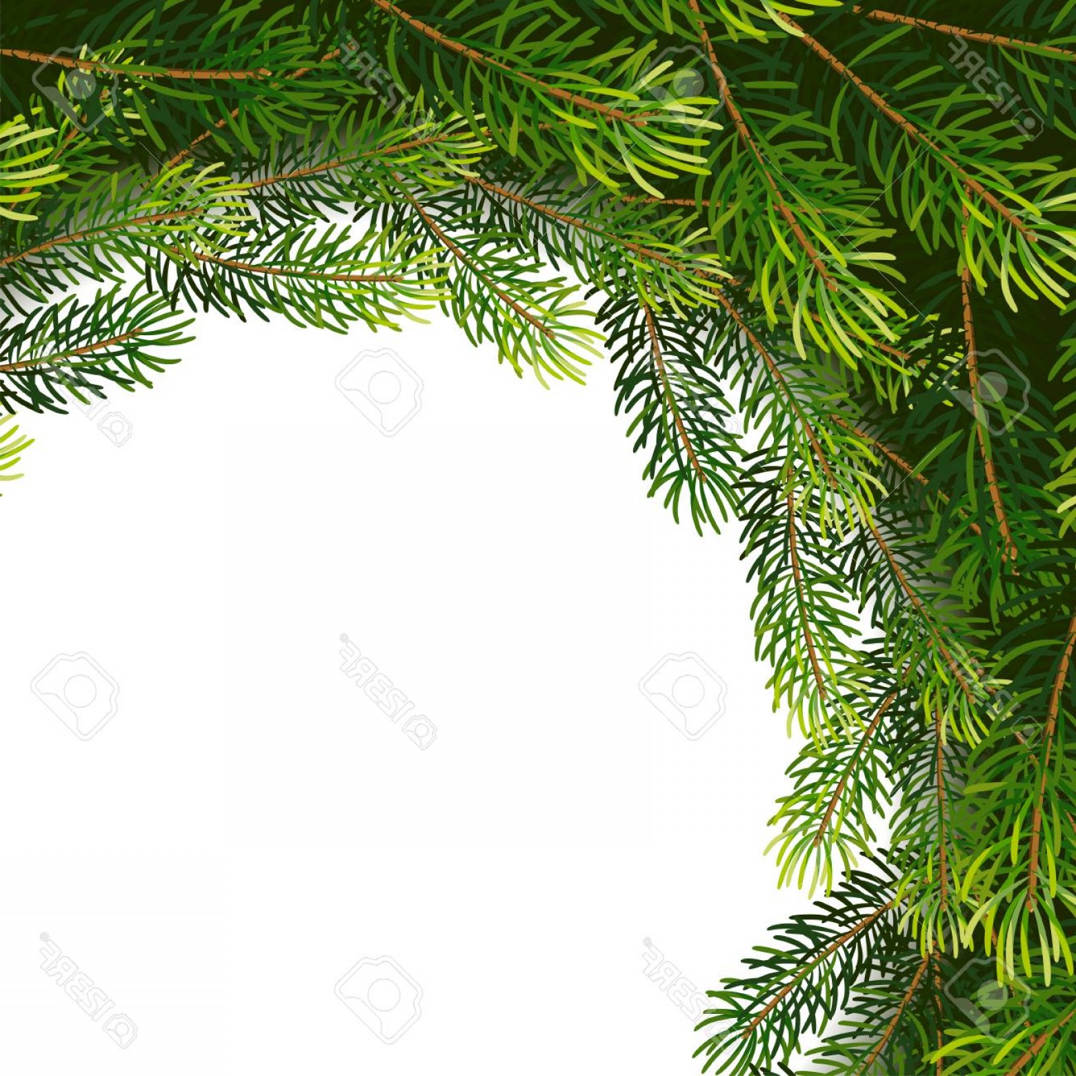 1560x1560 Christmas Tree Branches Vector Catamart
