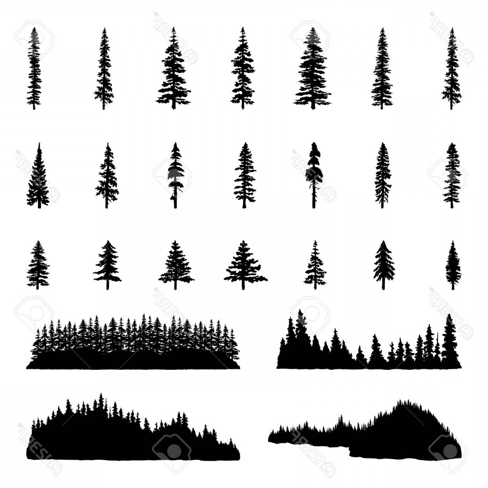 Photostock Vector Tree Silhouettes Hand Drawn Illustrations 1560x1560 Photostock Vector Tree Silhouettes Hand Drawn Illustrations