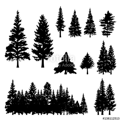 Pine Tree Silhouette Vector Free 500x500 Pine Tree Silhouette Vector Free