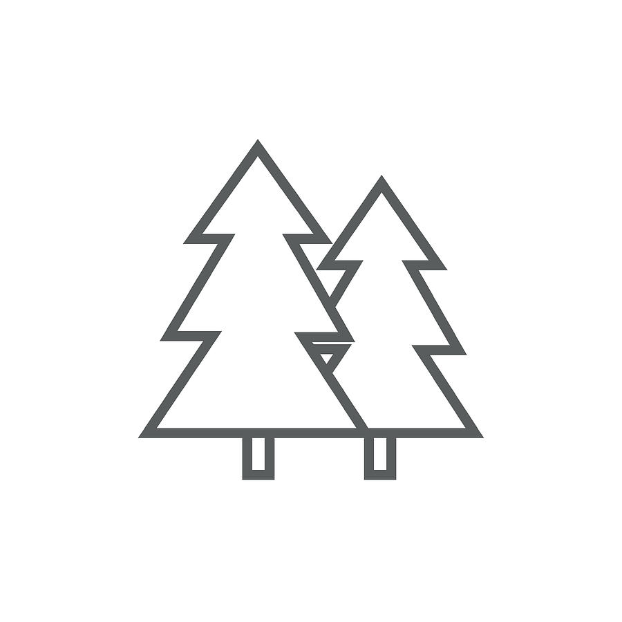 Pine Trees Line Icon Drawing 900x900 Pine Trees Line Icon Drawing