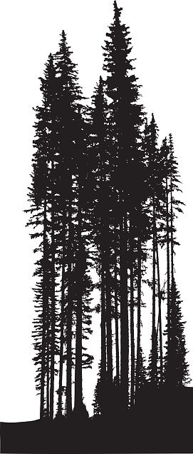 A Vector Silhouette Illustration Of A Tree Line Of Dense Forest 271x636 A Vector Silhouette Illustration Of A Tree Line Of Dense Forest