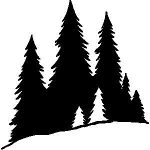 Collection Of 'pine Tree Forest Silhouette' Download More Than 300x300 Collection Of 'pine Tree Forest Silhouette' Download More Than