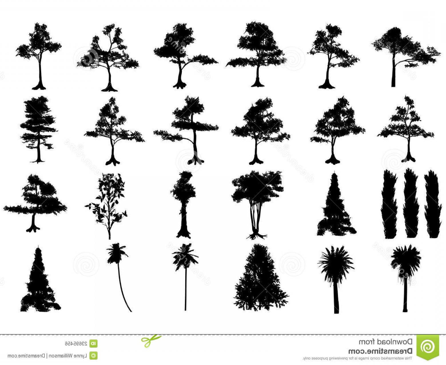 Group Silhouette Vector Pine Trees Geekchicpro 1560x1278 Group Silhouette Vector Pine Trees Geekchicpro