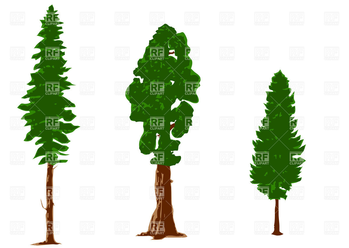 Silhouettes Of Pine Trees Vector Image Of Plants And Animals 1200x853 Silhouettes Of Pine Trees Vector Image Of Plants And Animals
