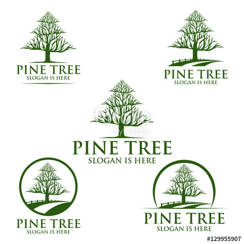 Pine Tree, Oak, Tree, Leaf Logo Design Stock Image And Royalty 500x500 Pine Tree, Oak, Tree, Leaf Logo Design Stock Image And Royalty