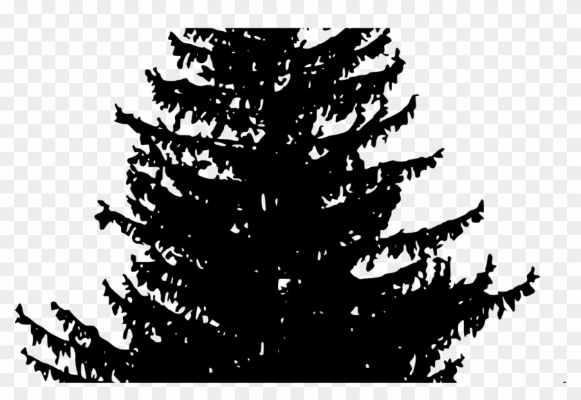 Pine Tree Silhouette Vector