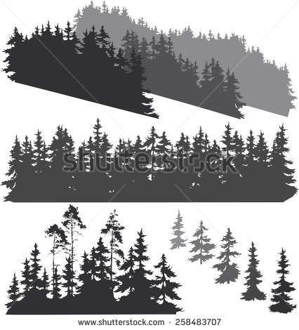 426x470 Pine Tree Forest Silhouette Vector