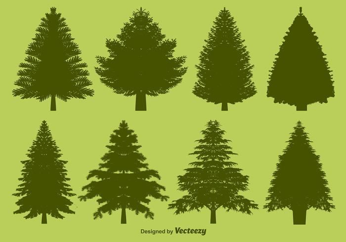 700x490 Pine Tree Free Vector Art