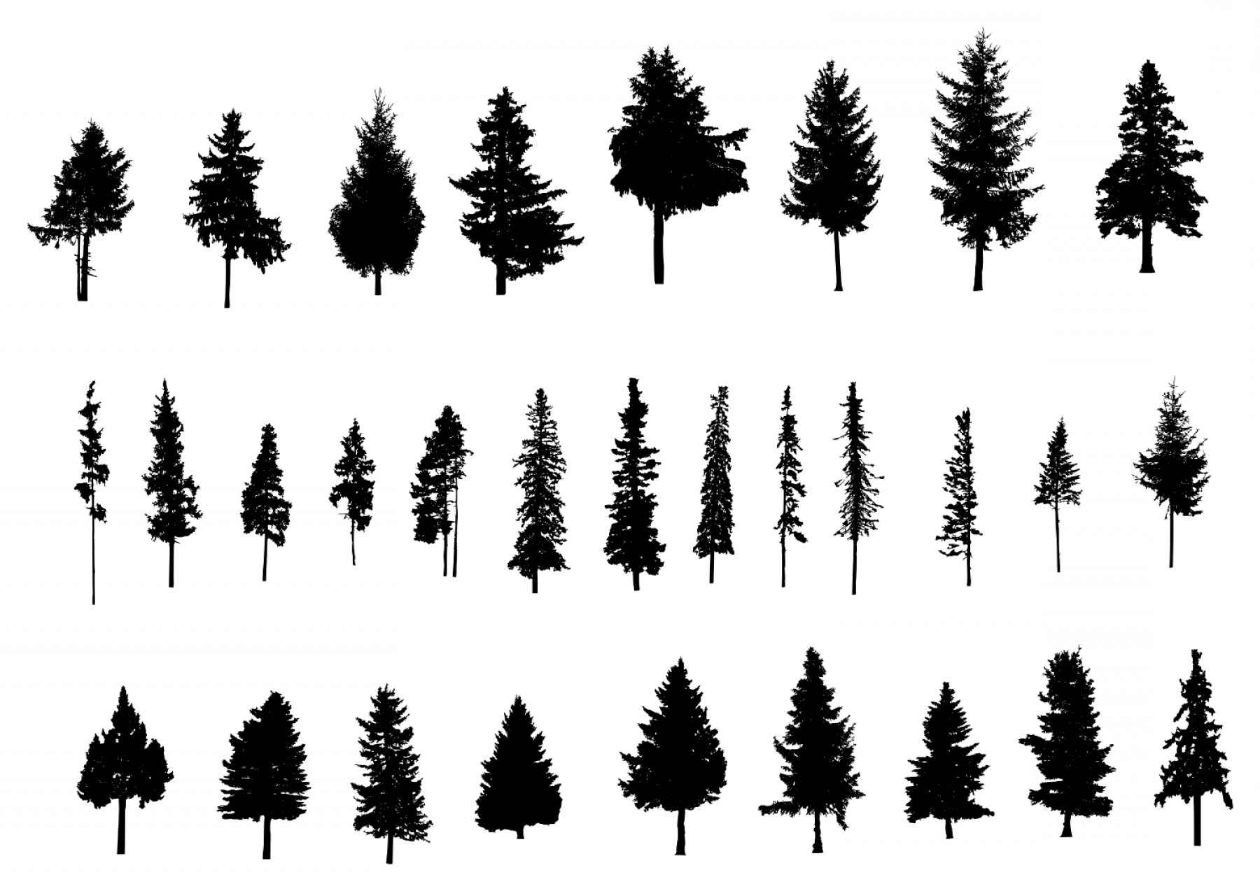 Download Pine Tree Silhouette Vector at Vectorified.com ...